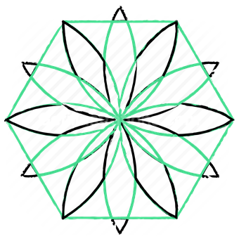 shape, sacred, geometry, pattern, flower, petal, hexagon